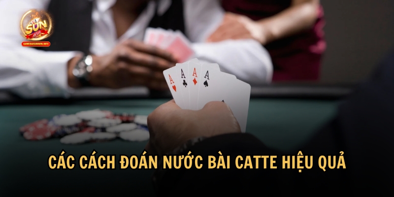 Những cách đoán nước bài Catte đơn giản và hiệu quả