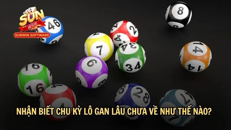 Nhận biết chu kỳ lô gan lâu chưa về như thế nào?