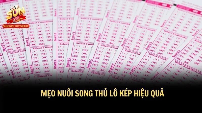 meo nuoi song thu lo kep 3 Mẹo nuôi song thủ lô kép chất lượng